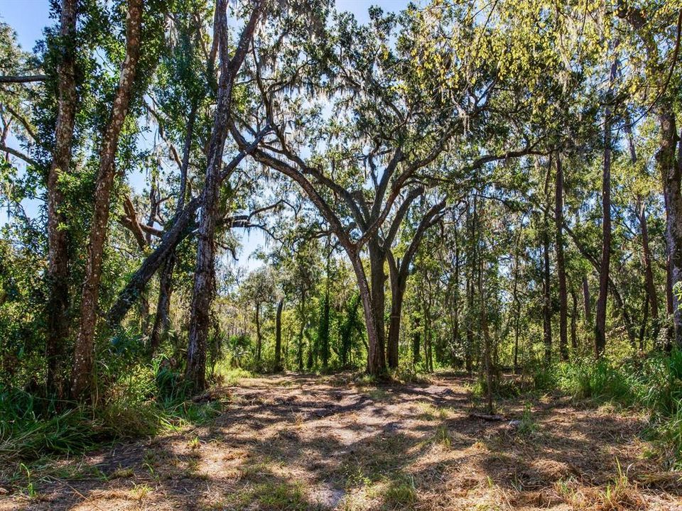 En Venta: $585,000 (37.00 acres)