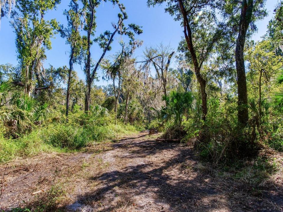 En Venta: $585,000 (37.00 acres)