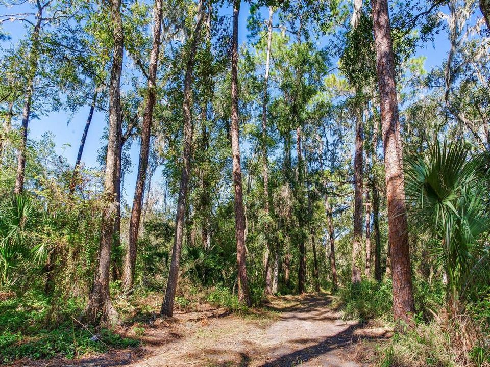 En Venta: $585,000 (37.00 acres)