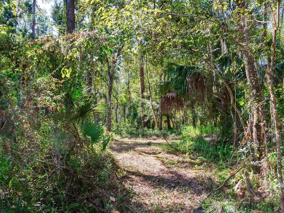 En Venta: $585,000 (37.00 acres)