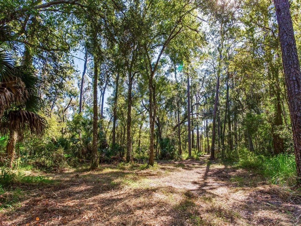 En Venta: $585,000 (37.00 acres)