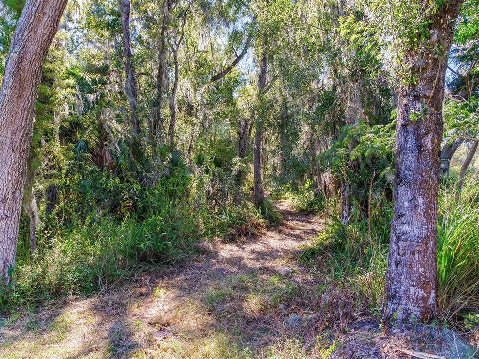 En Venta: $585,000 (37.00 acres)