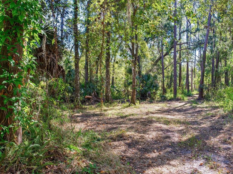 En Venta: $585,000 (37.00 acres)