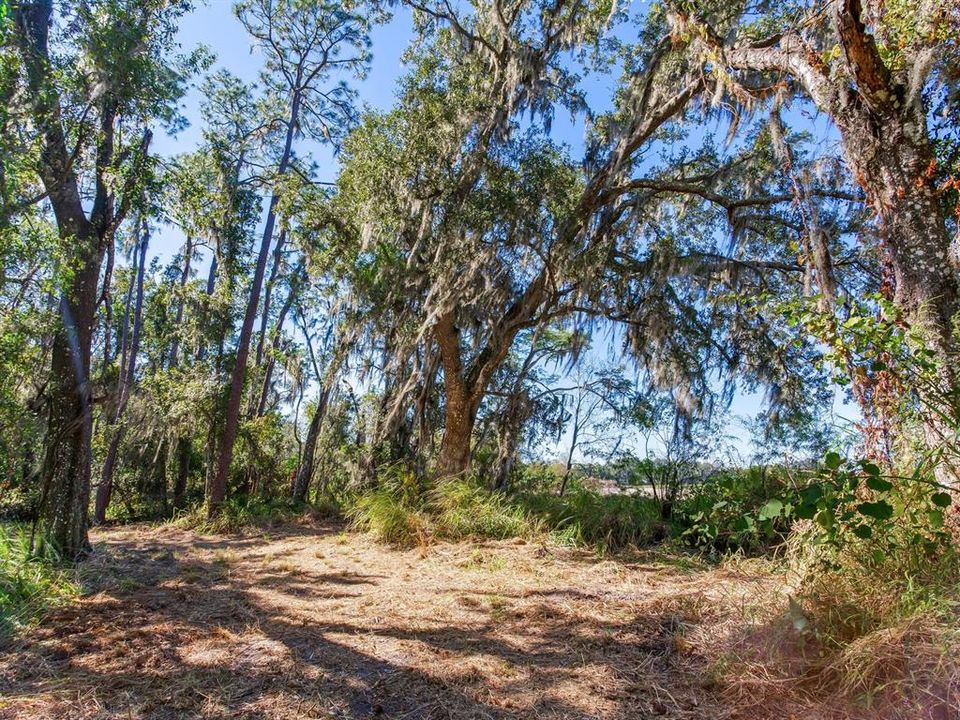 En Venta: $585,000 (37.00 acres)