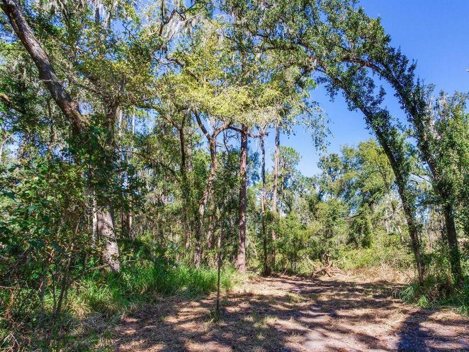 En Venta: $585,000 (37.00 acres)