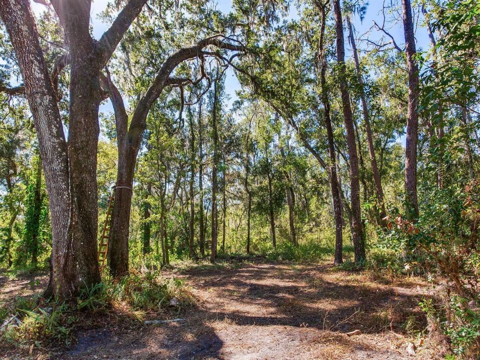 En Venta: $585,000 (37.00 acres)