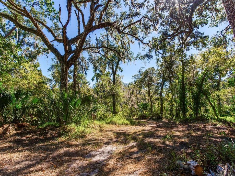 En Venta: $585,000 (37.00 acres)