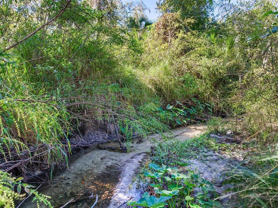 En Venta: $585,000 (37.00 acres)