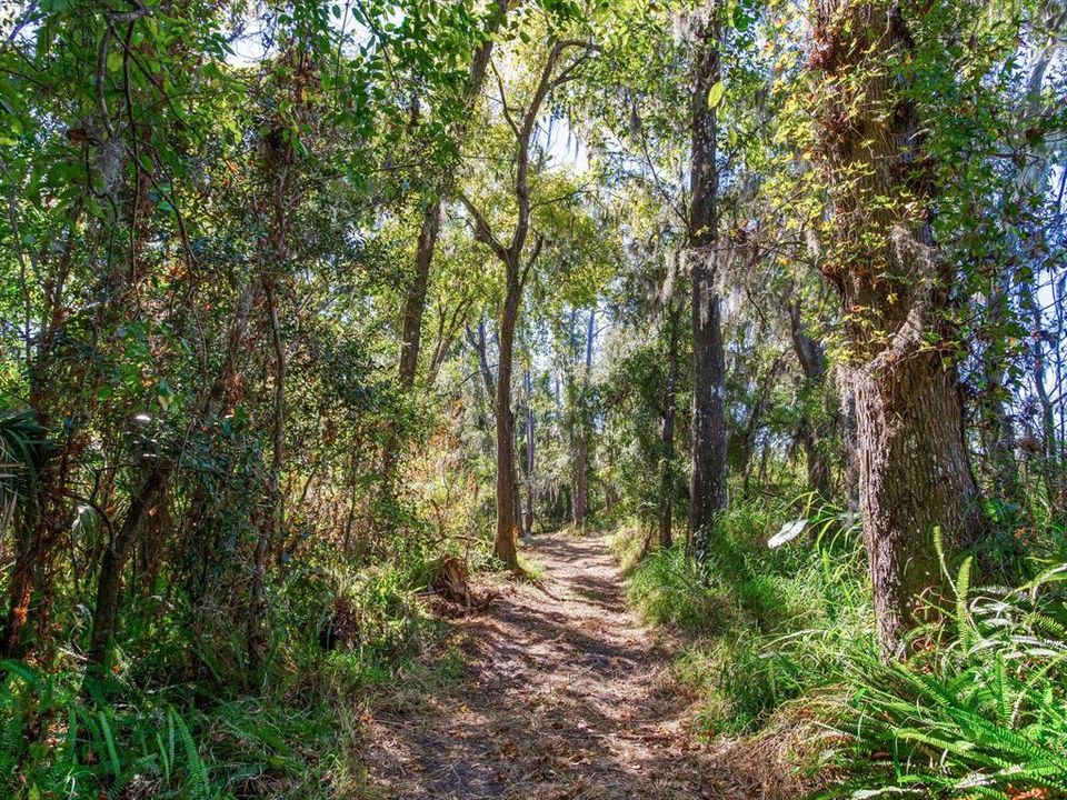 En Venta: $585,000 (37.00 acres)