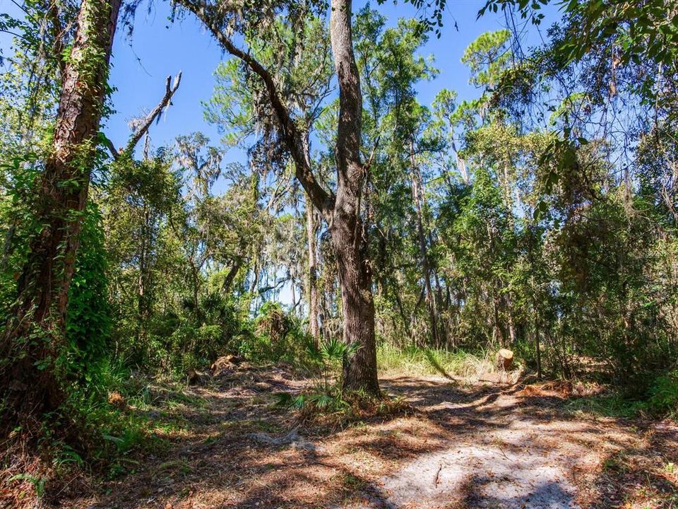 En Venta: $585,000 (37.00 acres)