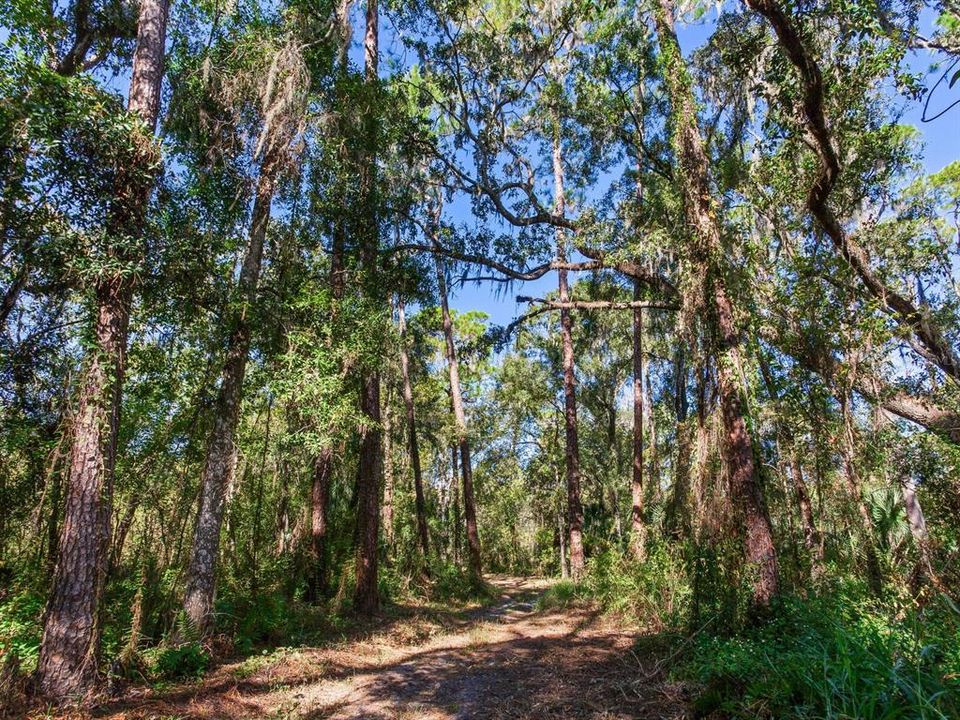 En Venta: $585,000 (37.00 acres)