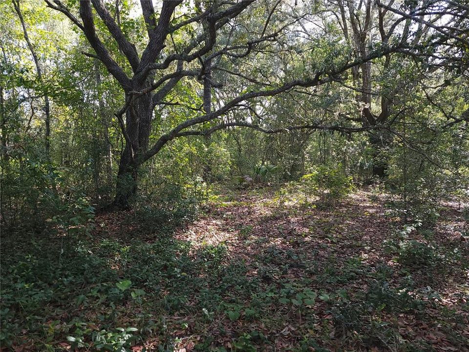 待售: $22,000 (0.34 acres)