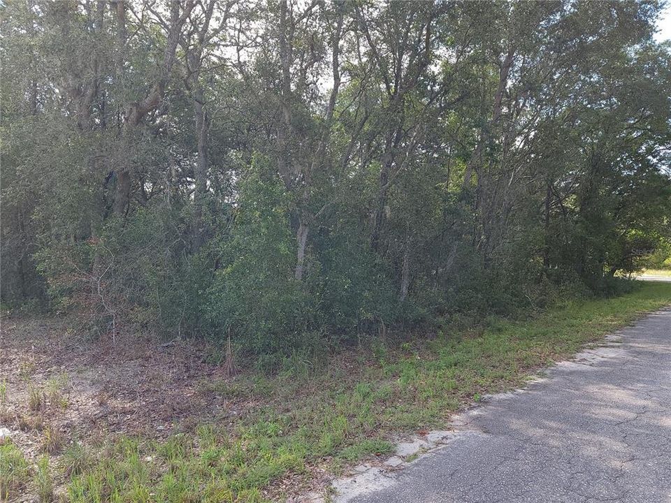 待售: $22,000 (0.34 acres)