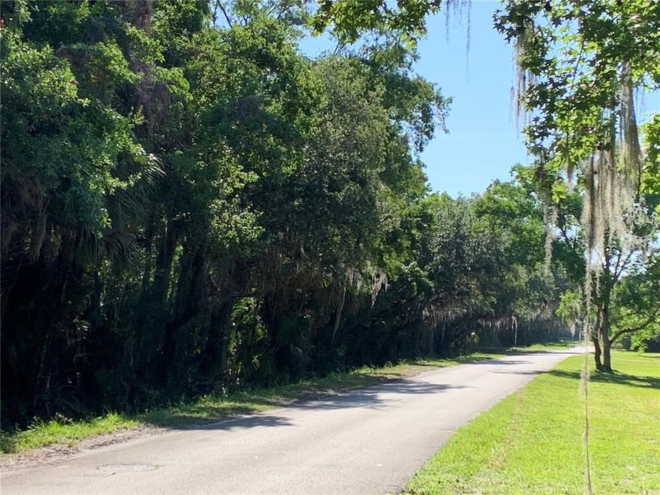 En Venta: $200,000 (1.10 acres)