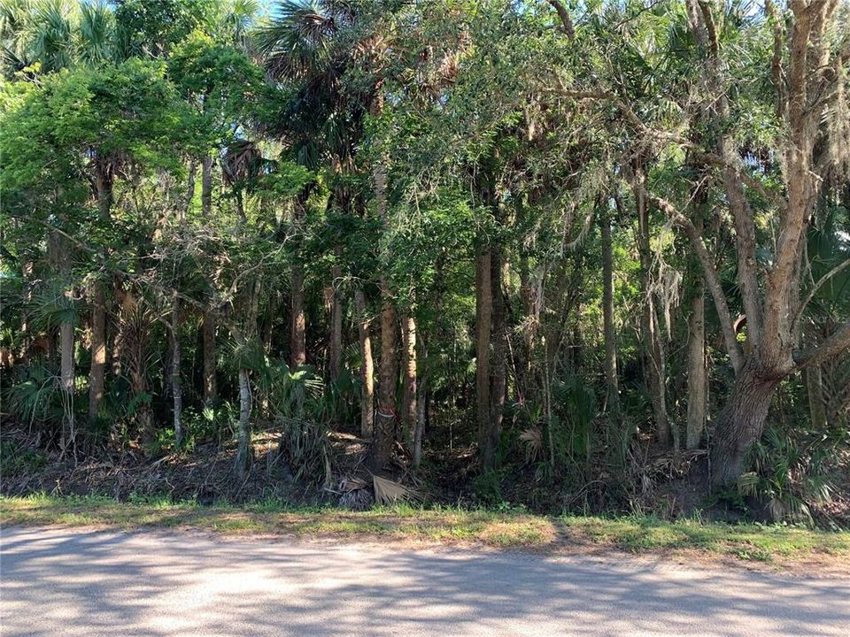 En Venta: $200,000 (1.10 acres)