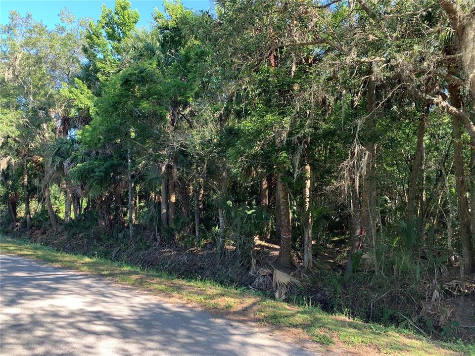 En Venta: $200,000 (1.10 acres)