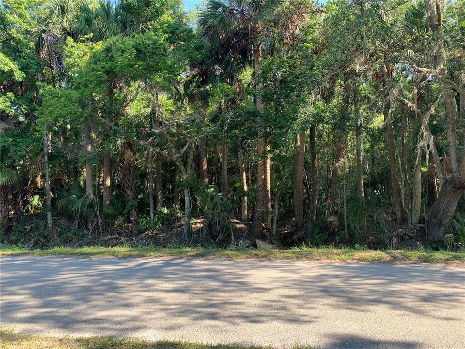 En Venta: $200,000 (1.10 acres)