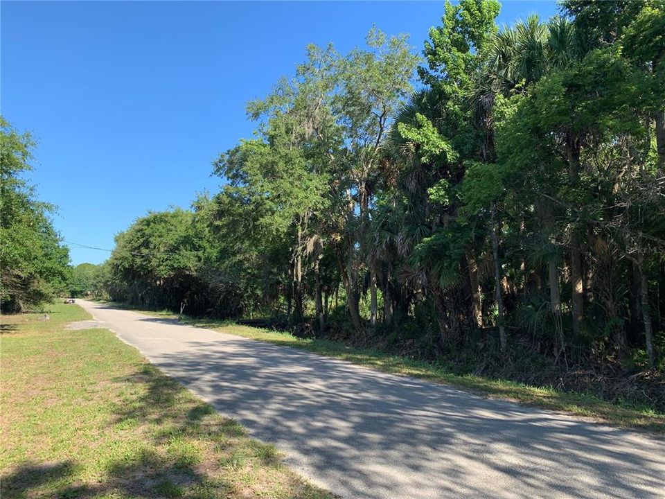 En Venta: $200,000 (1.10 acres)