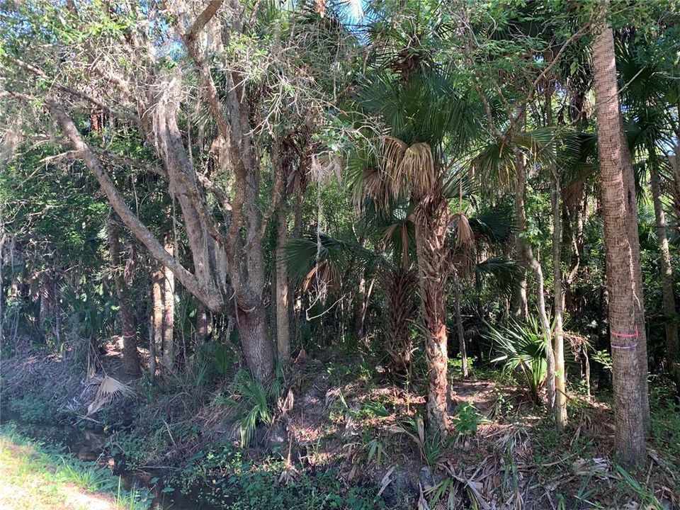 En Venta: $200,000 (1.10 acres)