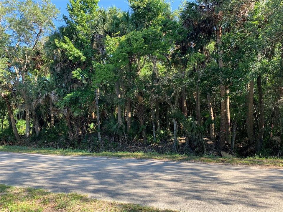 En Venta: $200,000 (1.10 acres)