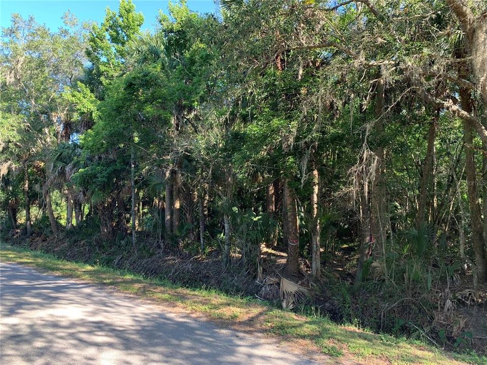 En Venta: $200,000 (1.10 acres)