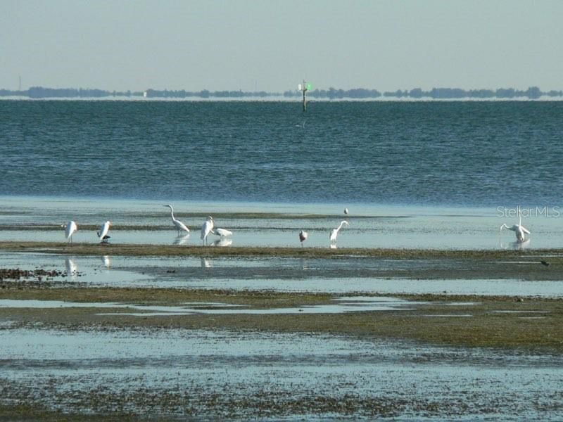 En Venta: $1,799,000 (3 camas, 3 baños, 2178 Pies cuadrados)