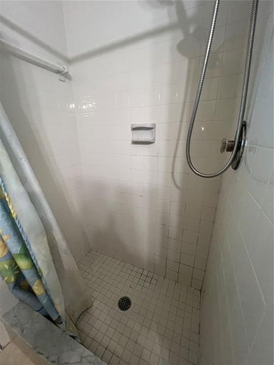 出租: $1,600 (3 贝兹, 2 浴室, 1235 平方英尺)