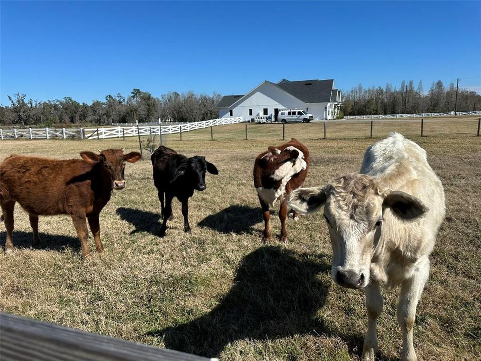 En Venta: $950,000 (3 camas, 2 baños, 2400 Pies cuadrados)