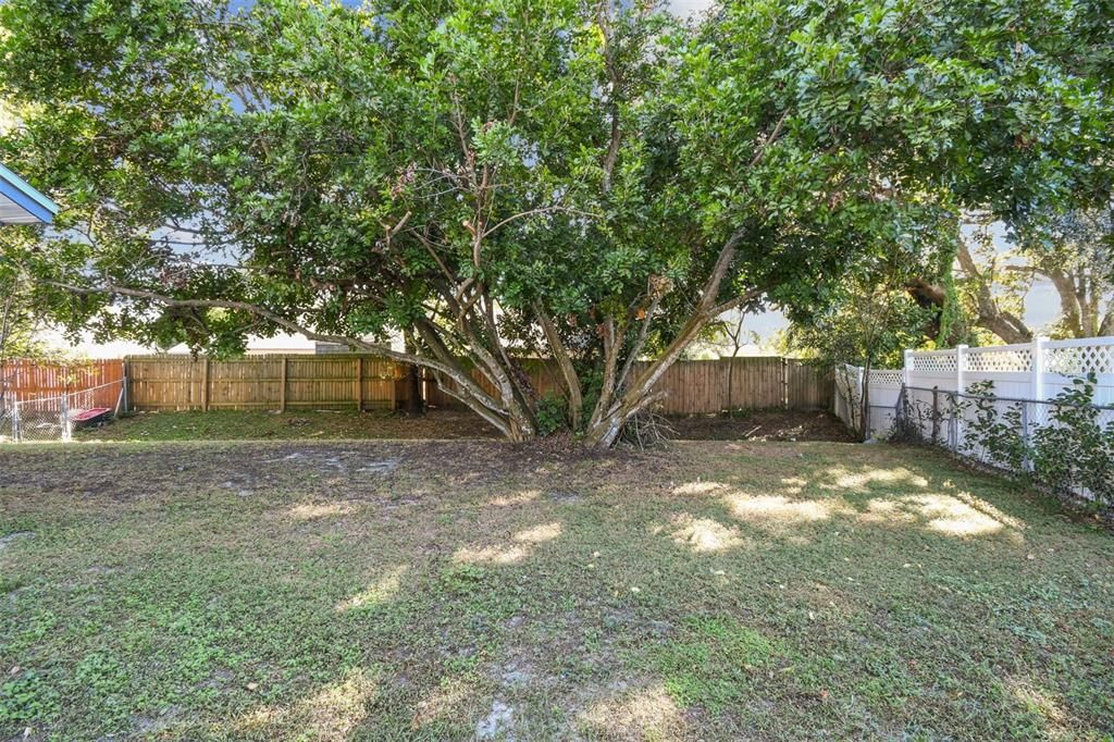 待售: $249,000 (2 贝兹, 2 浴室, 1006 平方英尺)