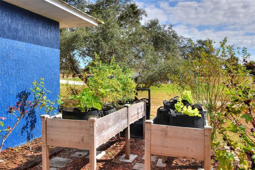 待售: $289,000 (3 贝兹, 2 浴室, 1396 平方英尺)