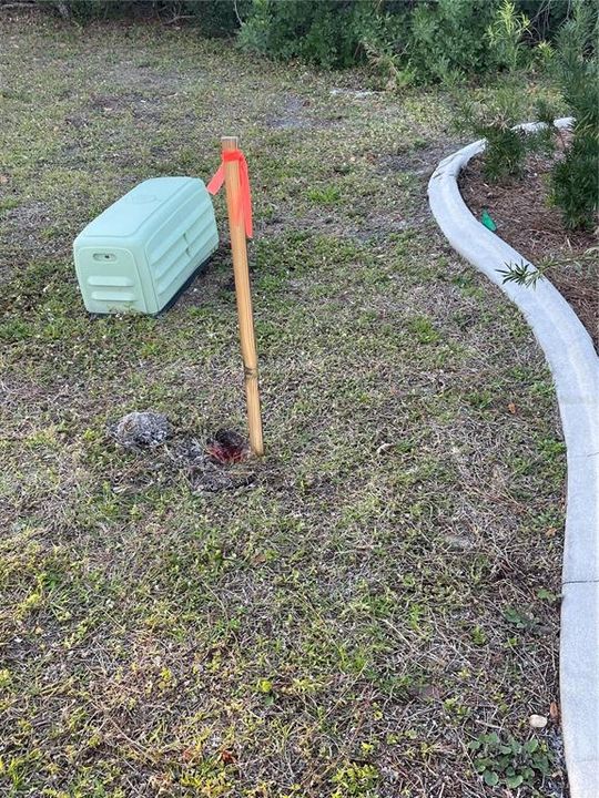 For Sale: $45,999 (0.19 acres)