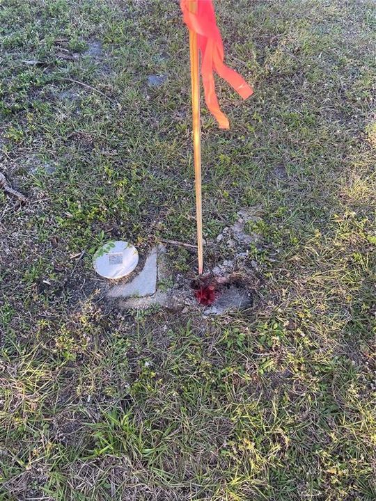 For Sale: $45,999 (0.19 acres)