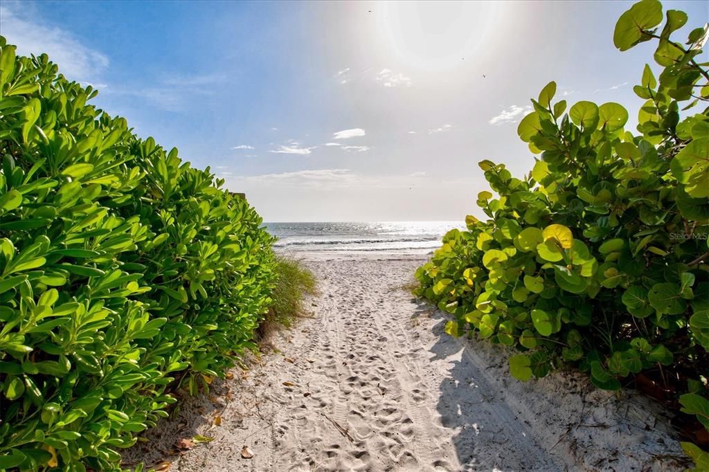 For Sale: $1,500,000 (4 beds, 0 baths, 1676 Square Feet)