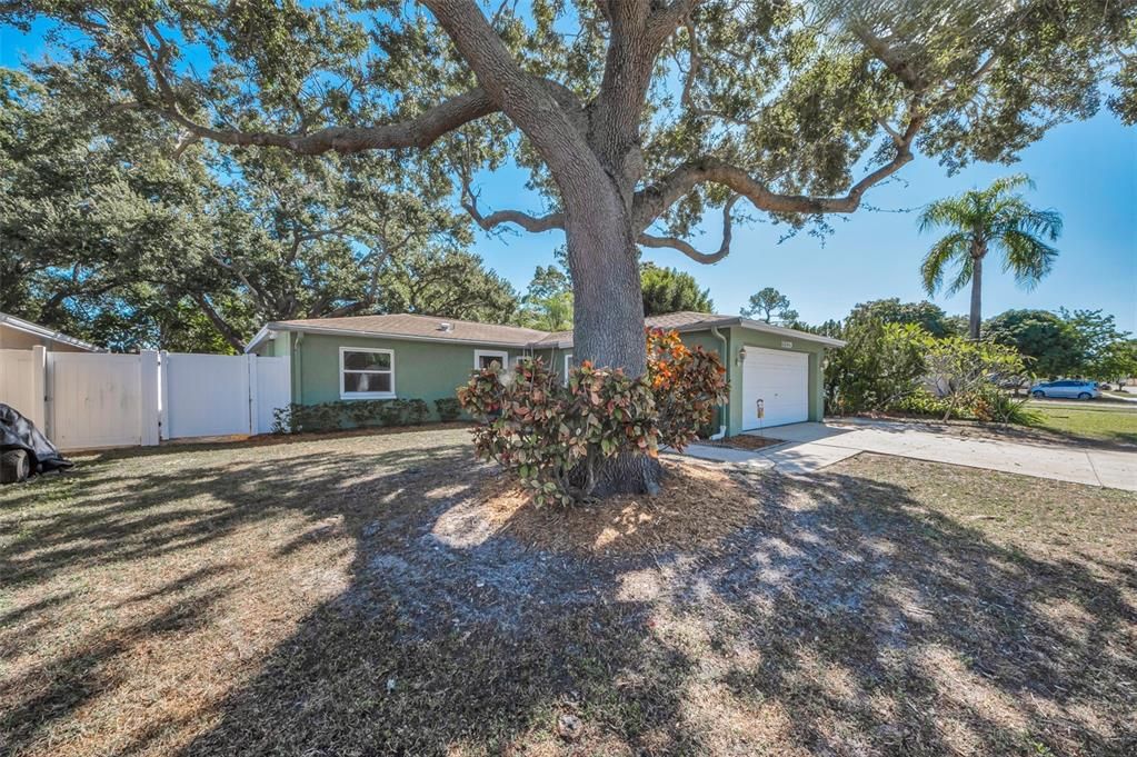 Activo con contrato: $389,900 (3 camas, 2 baños, 1494 Pies cuadrados)