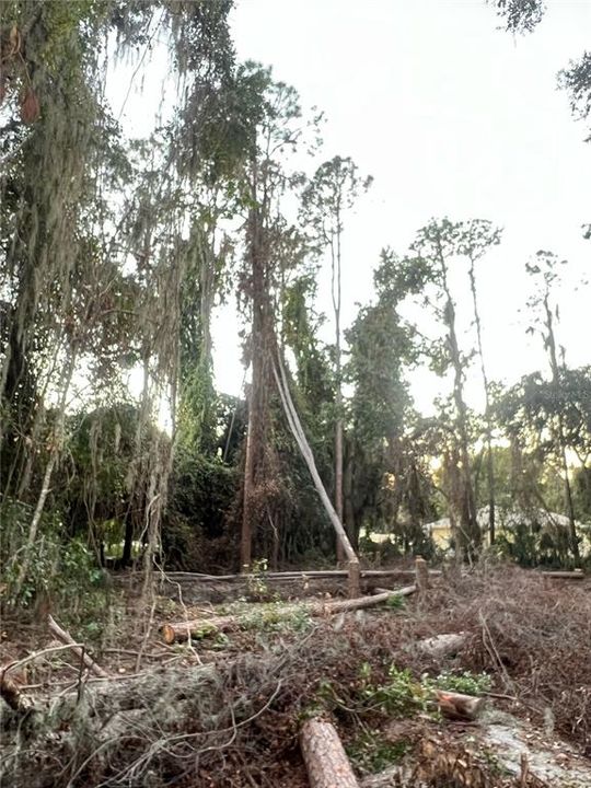 На продажу: $100,000 (0.87 acres)