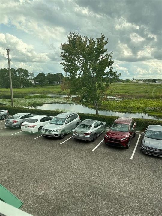 待售: $56,400 (0 贝兹, 0 浴室, 500 平方英尺)