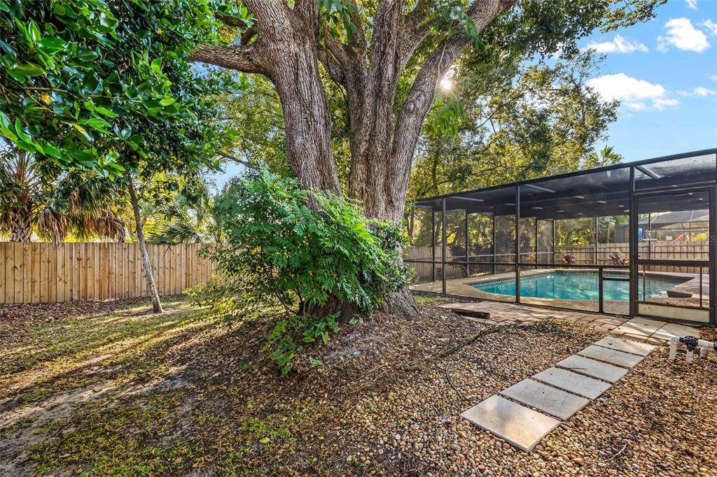 合同活跃: $450,000 (3 贝兹, 2 浴室, 1525 平方英尺)