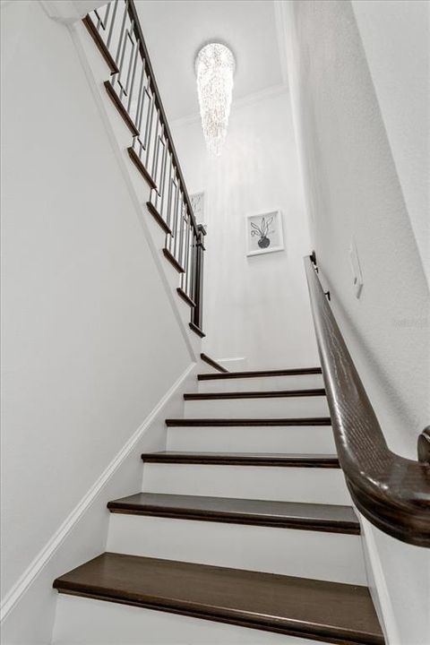 待售: $1,150,000 (5 贝兹, 4 浴室, 3917 平方英尺)