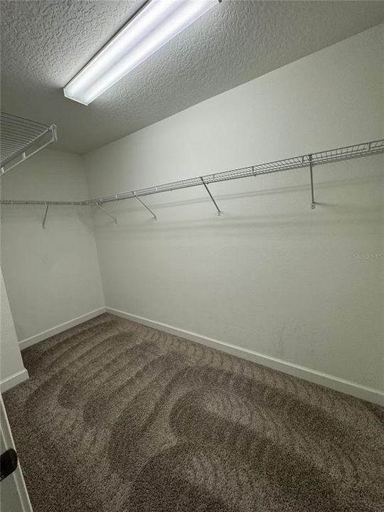 出租: $2,700 (3 贝兹, 2 浴室, 2239 平方英尺)