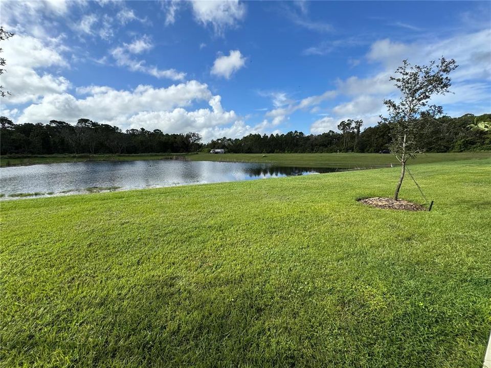 出租: $1,950 (3 贝兹, 2 浴室, 1496 平方英尺)