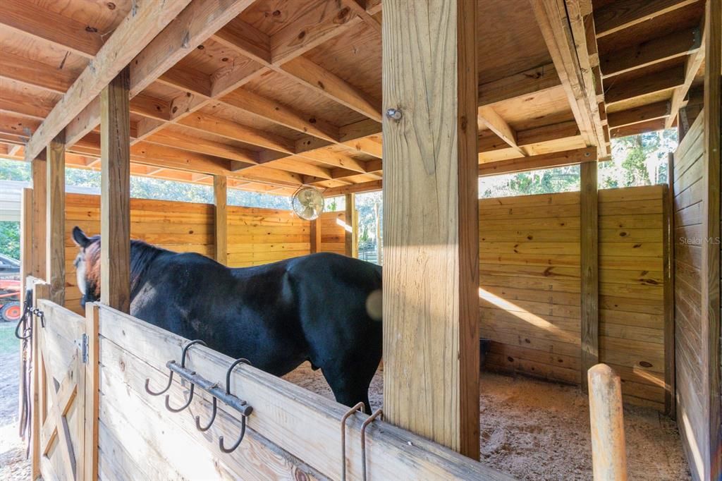 For Sale: $775,000 (3 beds, 2 baths, 1744 Square Feet)