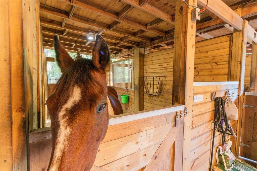 For Sale: $775,000 (3 beds, 2 baths, 1744 Square Feet)