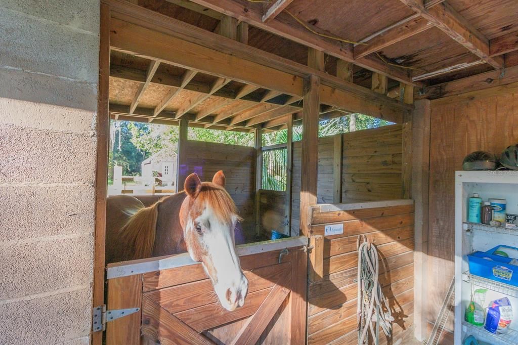 For Sale: $775,000 (3 beds, 2 baths, 1744 Square Feet)