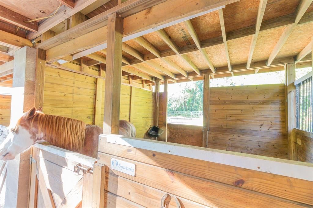 For Sale: $775,000 (3 beds, 2 baths, 1744 Square Feet)