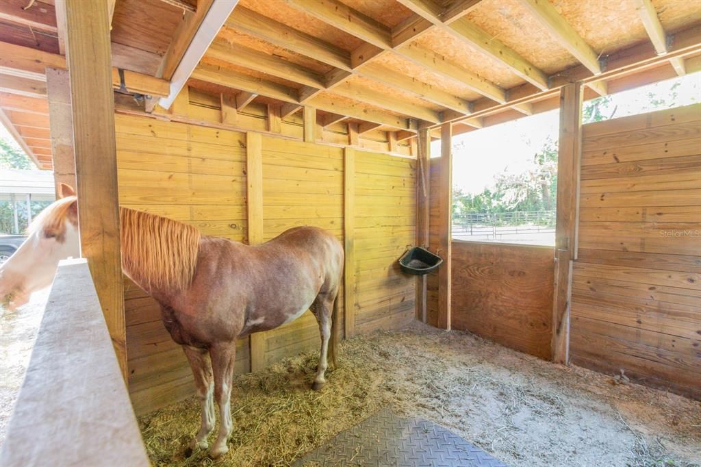 For Sale: $775,000 (3 beds, 2 baths, 1744 Square Feet)