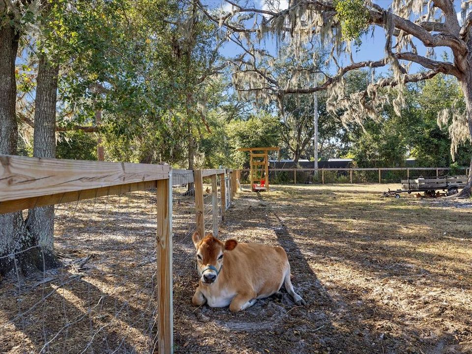 合同活跃: $479,000 (3 贝兹, 2 浴室, 1545 平方英尺)