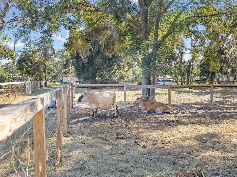 合同活跃: $479,000 (3 贝兹, 2 浴室, 1545 平方英尺)