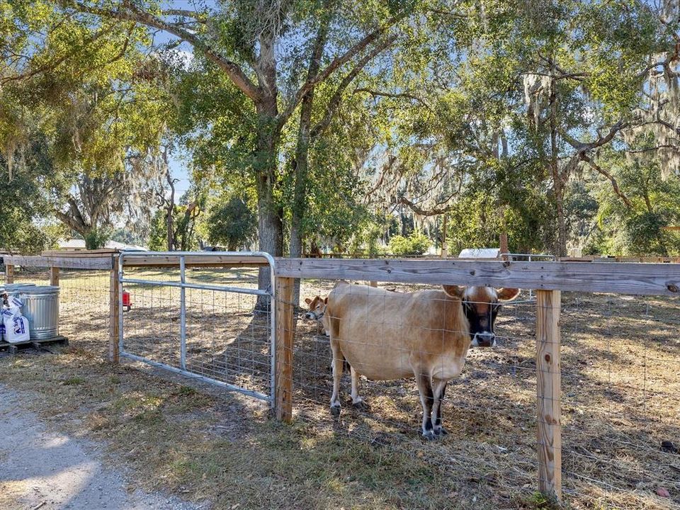 合同活跃: $479,000 (3 贝兹, 2 浴室, 1545 平方英尺)