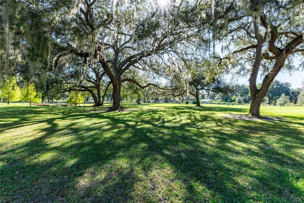 For Sale: $715,000 (3 beds, 2 baths, 1456 Square Feet)