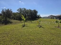 For Rent: $3,100 (6 beds, 3 baths, 3362 Square Feet)